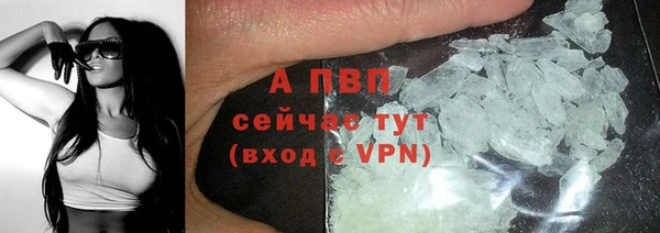 сатива Алексин