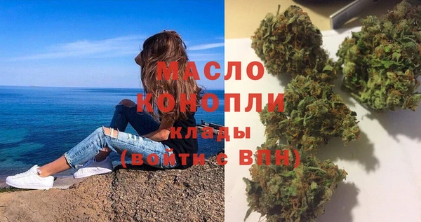 индика Абинск