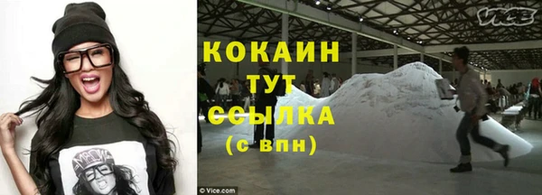 индика Абинск
