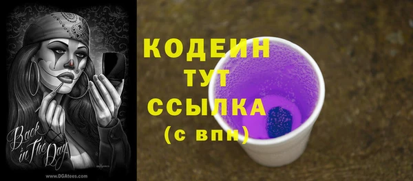 индика Абинск