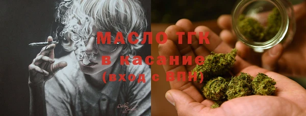 индика Абинск