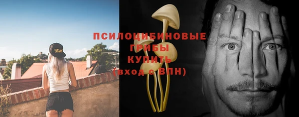 ГАЛЛЮЦИНОГЕННЫЕ ГРИБЫ Алзамай