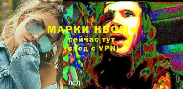 индика Абинск